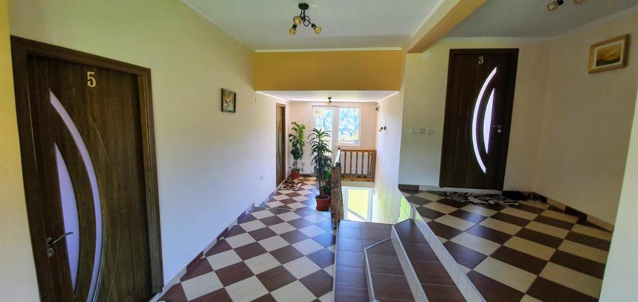 Casa Elena Guest House Bran  Luaran gambar