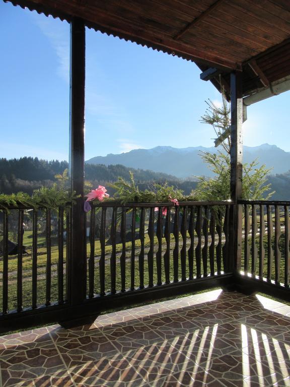 Casa Elena Guest House Bran  Luaran gambar